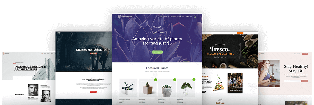 Astra Pro Addon v4.8.9 – Perfect Theme For Any Website