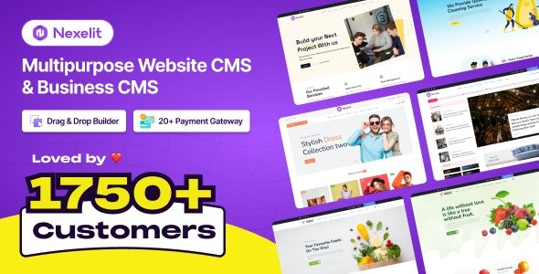 Nexelit v3.8.0 - Multipurpose Website CMS & Business CMS - nulled