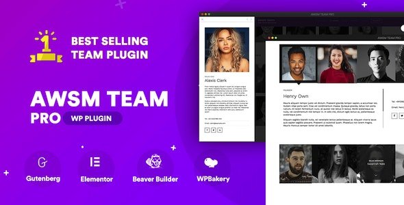The Team Pro v1.11.1 - Team Showcase WordPress Plugin