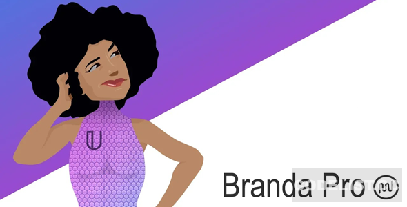 Branda Pro v3.4.234 - WordPress white label branding