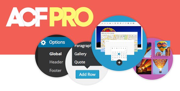 Advanced Custom Fields Pro - v6.3.5