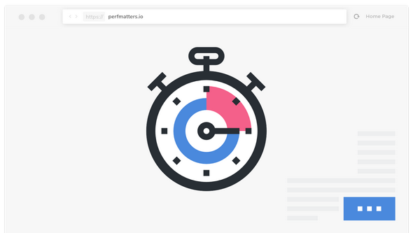 Perfmatters - Lightweight Performance Plugin - v2.5.0