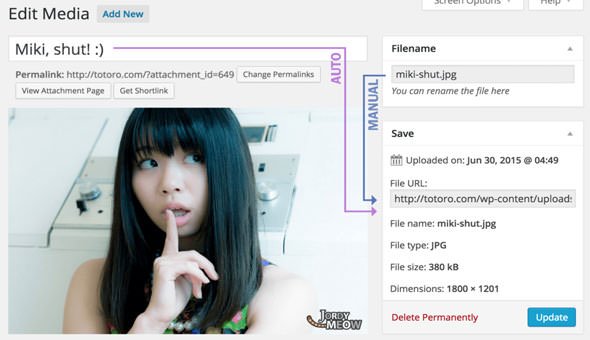 Media File Renamer Pro - v5.9.4